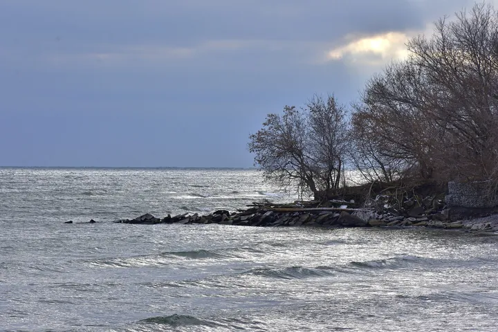 Photo d’origine : Rivage d’un grand lac agité sous un ciel chargé, avec des arbres nus et des enrochements.