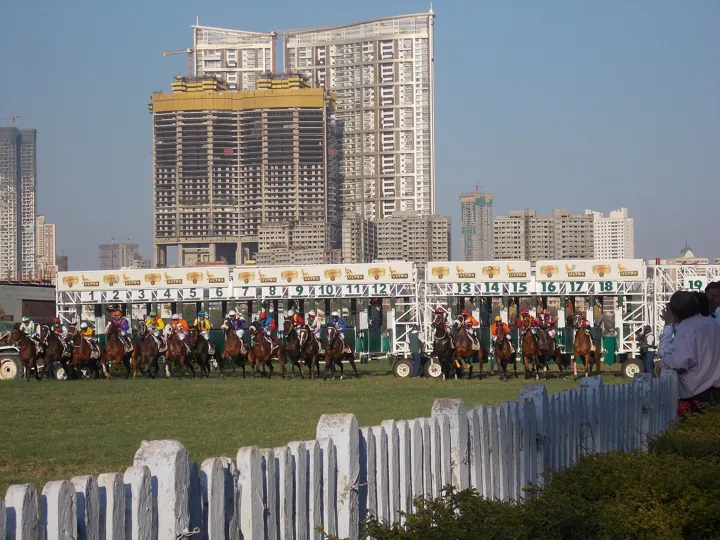 Photo d’origine : Des chevaux et leurs jockeys s'élançant des boîtes de départ d'un hippodrome