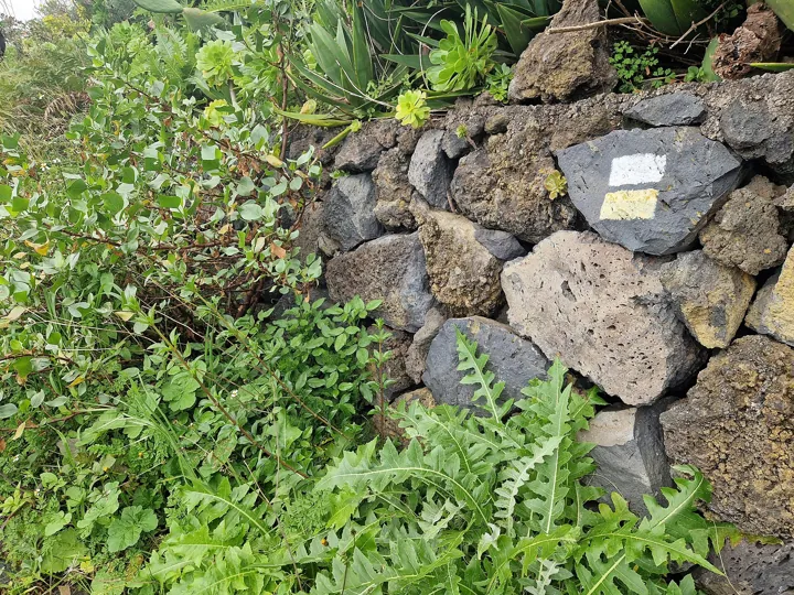 Photo d’origine : Balisage blanc et jaune peint sur un mur de pierres volcaniques : le chemin se suit de repère en repère
